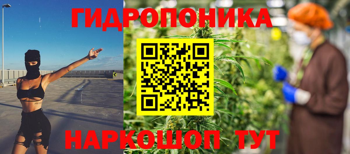 Конопля гибрид Пыть-Ях